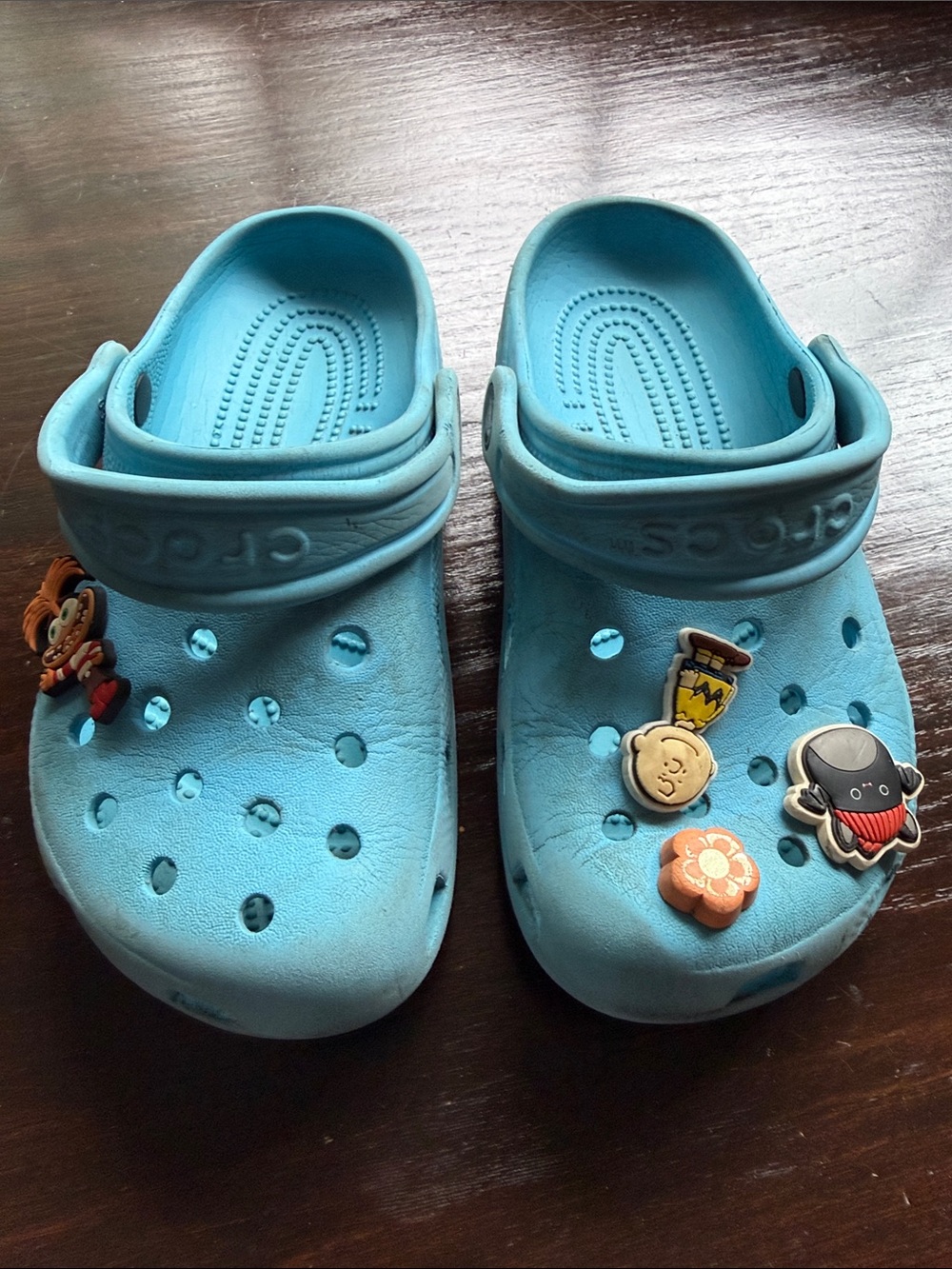 CROCS Kids Light Blue Clogs with Charms